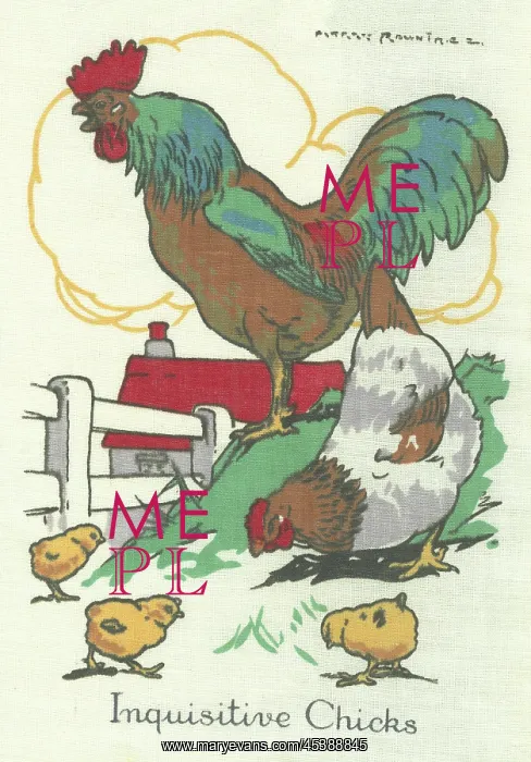 : Cock, Hen and Inquisitive Chicks : Cock, Hen and Inquisitive Chicks