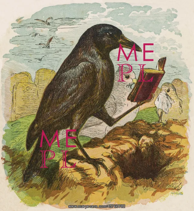  : COCK ROBIN 1