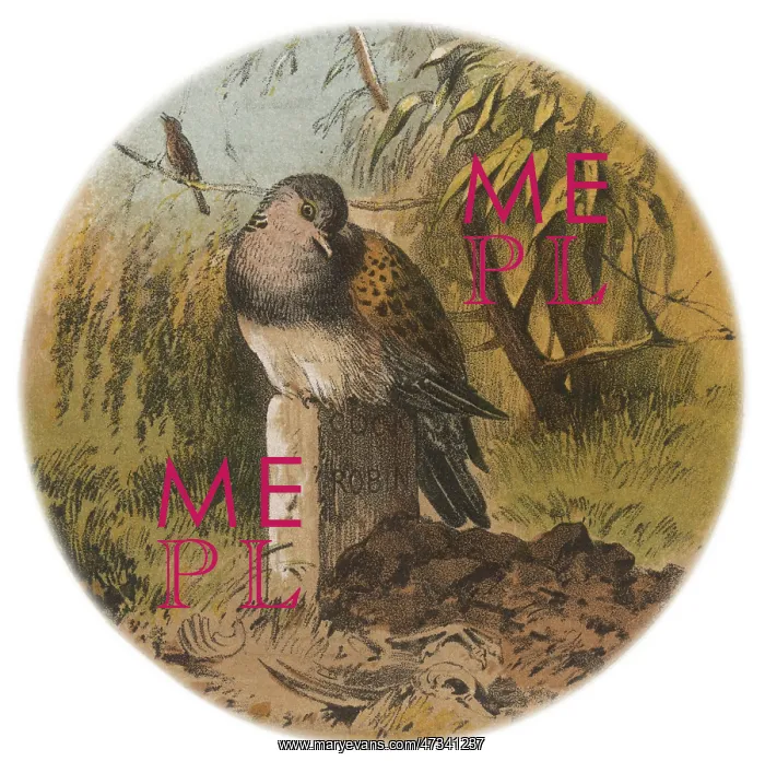 : COCK ROBIN 2 : COCK ROBIN 2