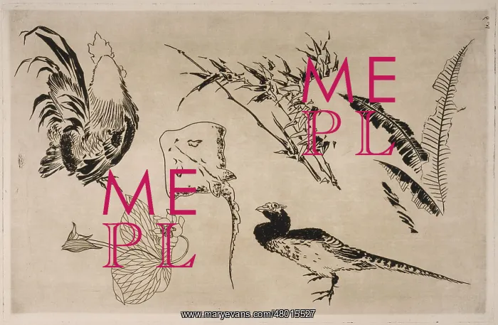 : Cock, skate, plants and pheasant : Cock, skate, plants and pheasant