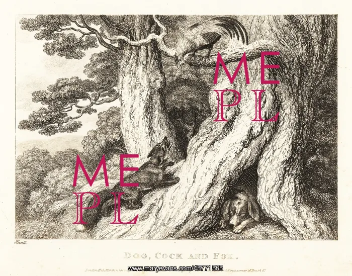 : A cock in a tree outwits a fox, while a dog sleeps : A cock in a tree outwits a fox, while a dog sleeps