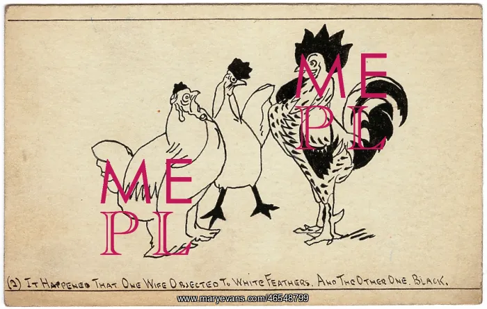 : The Cock with Two Wives by George Ranstead : The Cock with Two Wives by George Ranstead