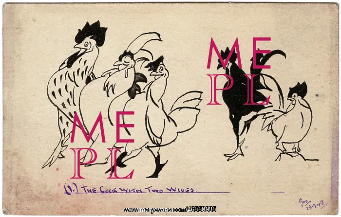 : The Cock with Two Wives by George Ranstead : The Cock with Two Wives by George Ranstead