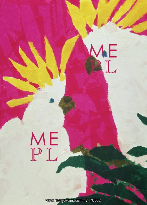  : Cockatoos - two cockatoos on a pink background