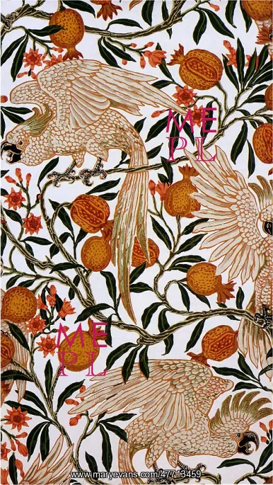  : Cockatoos and Pomegranate
