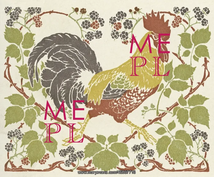 : Cockerel in blackberry brambles : Cockerel in blackberry brambles