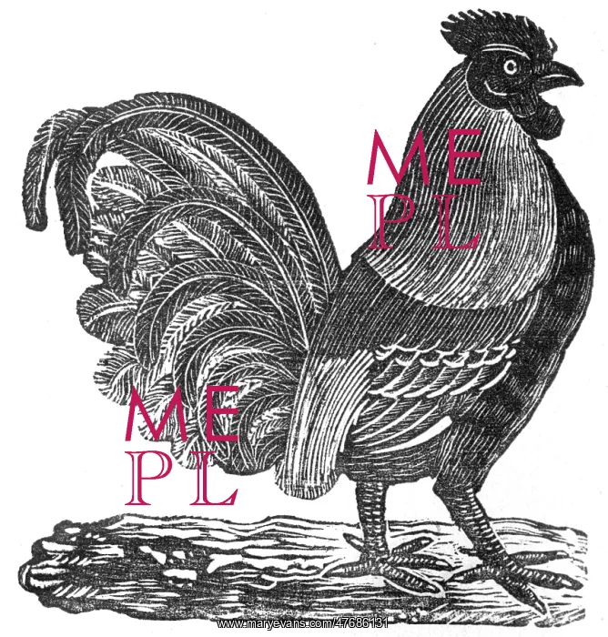 : Cockerel, c.1800 : Cockerel, c.1800