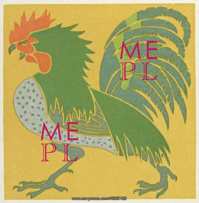  : Cockerel design