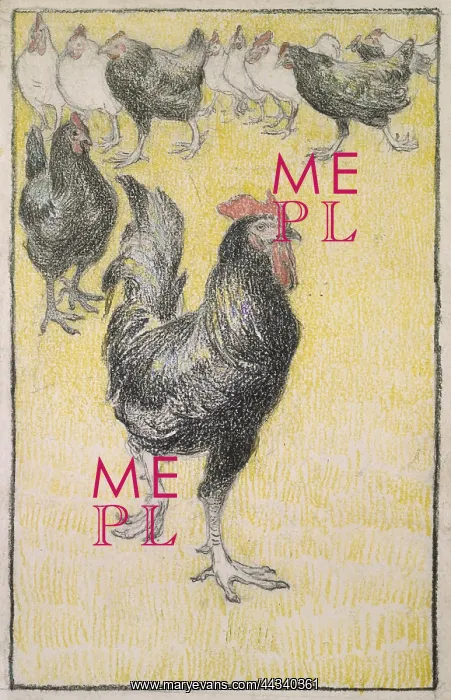 : Cockerel followed by black and white Hens : Cockerel followed by black and white Hens