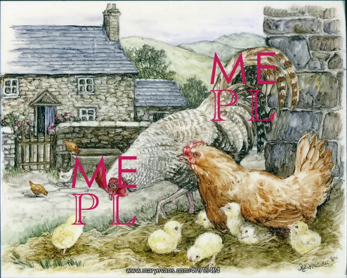 : Cockerel, Hen and Chicks : Cockerel, Hen and Chicks
