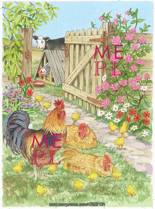 : Cockerel with two hens and chicks in a garden : Cockerel with two hens and chicks in a garden