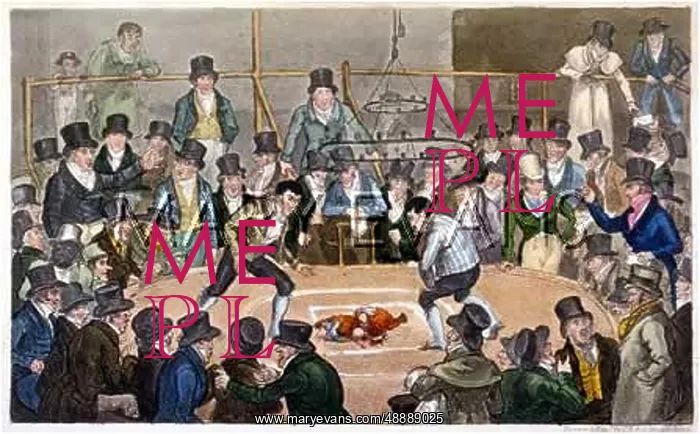 : COCKFIGHT, LONDON, 1821 : COCKFIGHT, LONDON, 1821