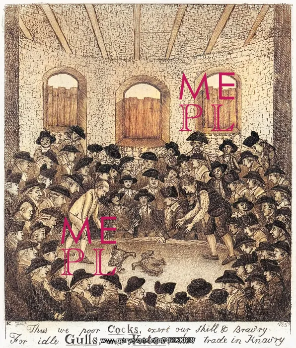  : Cockfighting (John Kay)