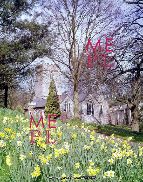 : Cockington Church, near Torquay, Devon : Cockington Church, near Torquay, Devon