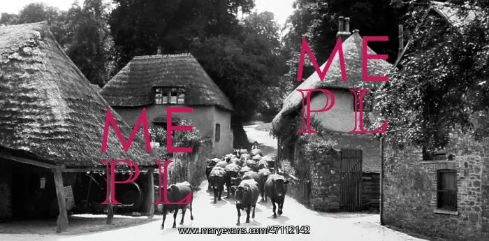  : Cockington Forge and village, Victorian period