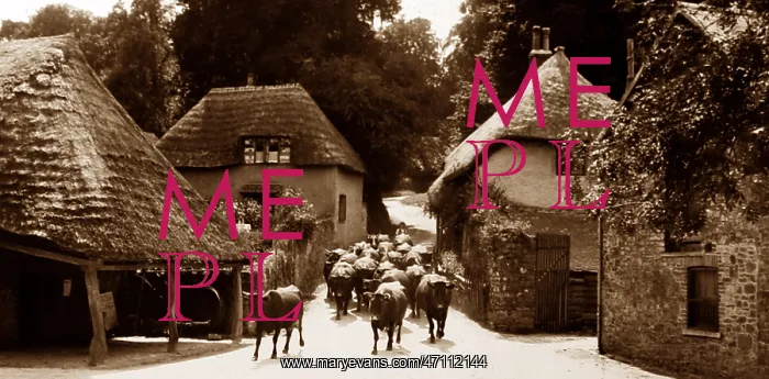  : Cockington Forge and village, Victorian period