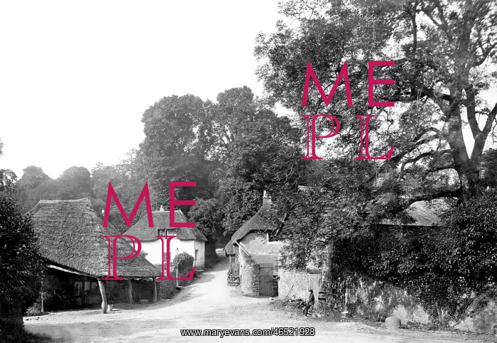  : Cockington, the Village 1889