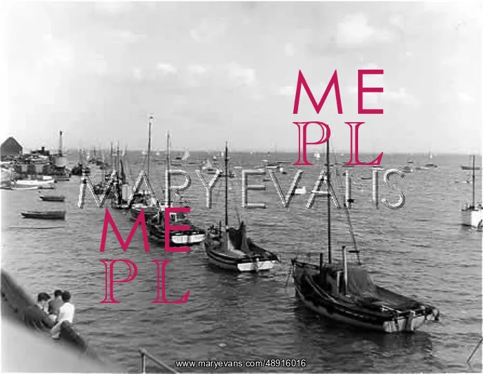 : COCKLE BOATS : COCKLE BOATS