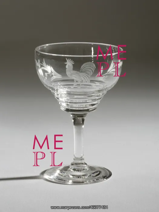 : Cocktail glass : Cocktail glass