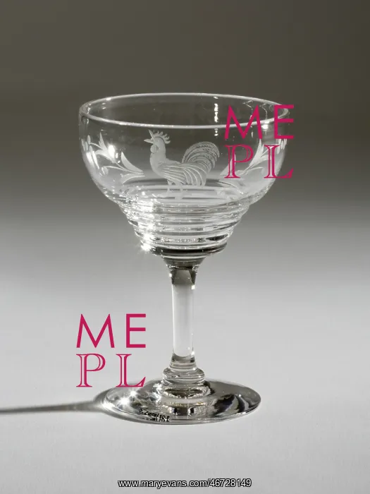 : Cocktail glass : Cocktail glass