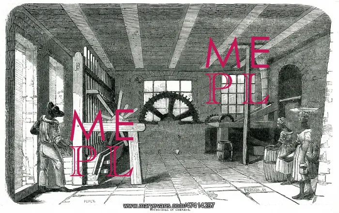 : Cocoa mill in Grenada 1855 : Cocoa mill in Grenada 1855
