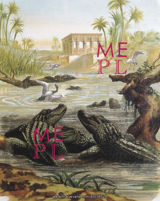: Cocodriles in the Nile river. Engraving after : Cocodriles in the Nile river. Engraving after