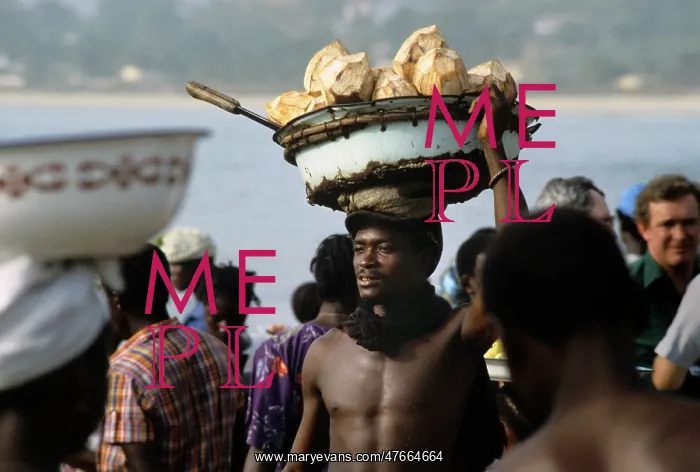: Coconut seller, Sierra Leone : Coconut seller, Sierra Leone