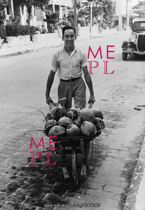  : Coconuts, Key West, Florida