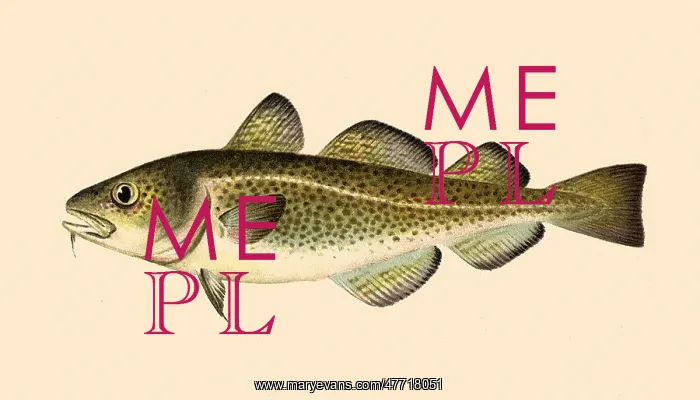  : Cod
