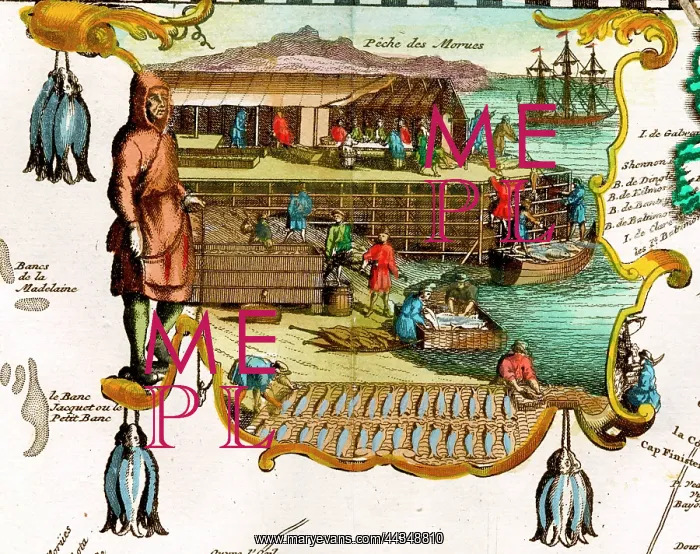  : Cod Fishing in Newfoundland, Canada