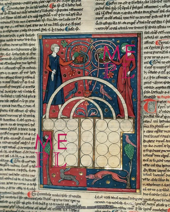 : Codex 98 by Henricus of Segusio (c.1200-1271). Detail : Codex 98 by Henricus of Segusio (c.1200-1271). Detail