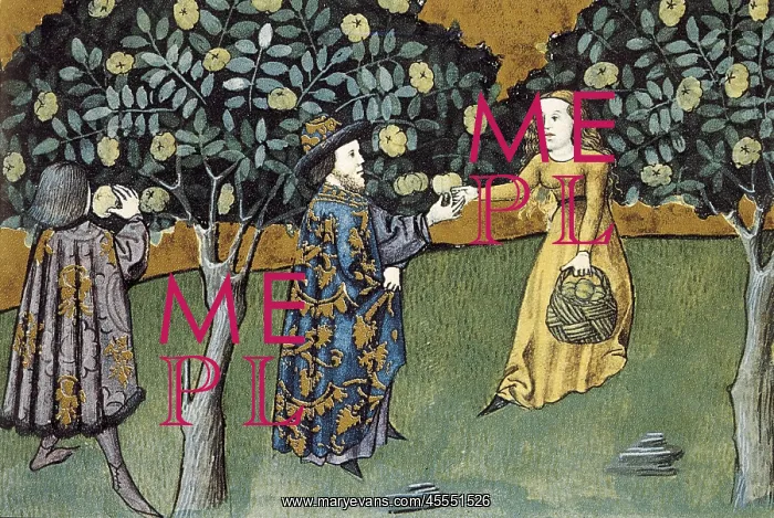 : Codex granatensis, h. 1400. Tacuinum sanitatis. Quince : Codex granatensis, h. 1400. Tacuinum sanitatis. Quince