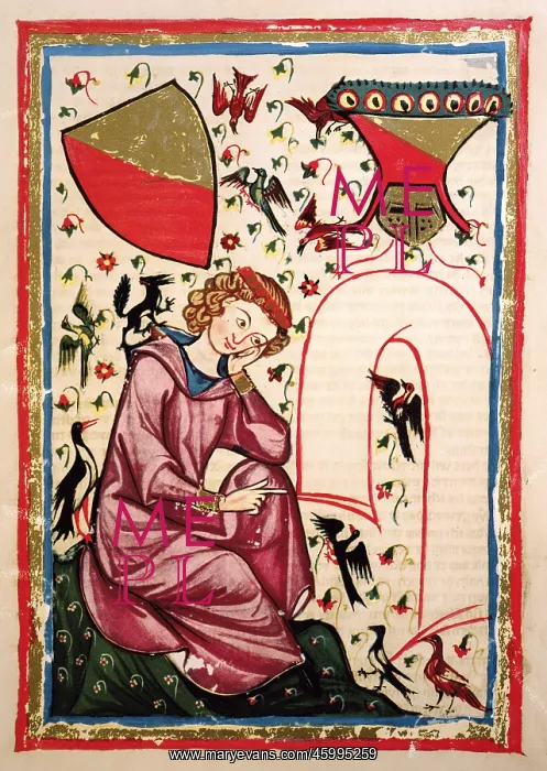 : Codex Manesse : Codex Manesse