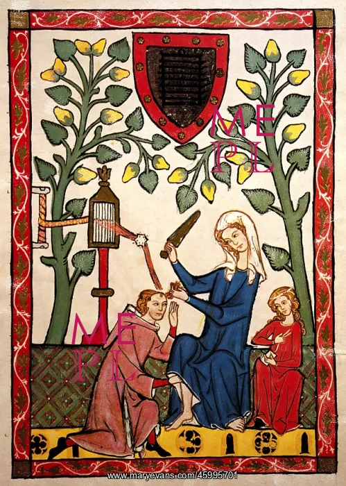 : Codex Manesse : Codex Manesse