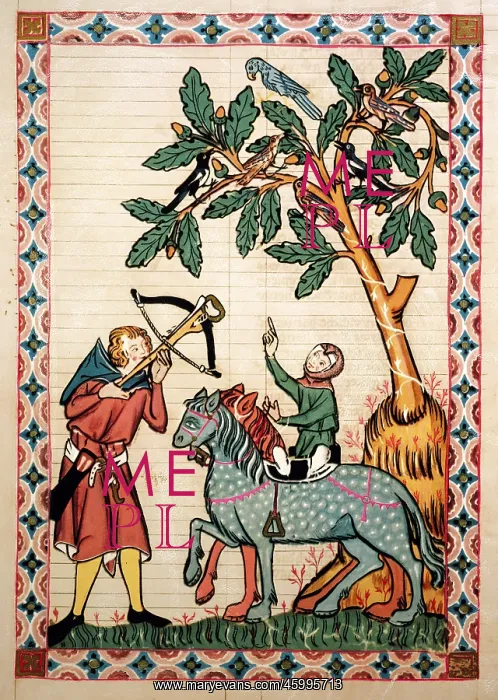 : Codex Manesse : Codex Manesse