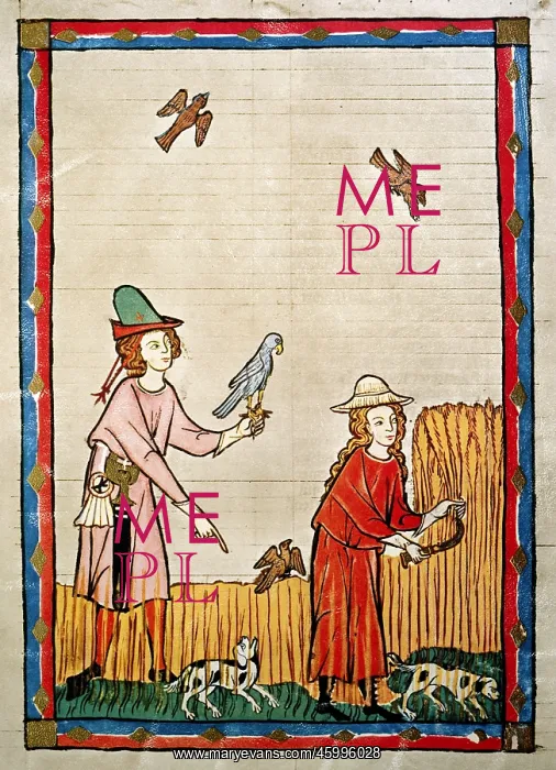 : Codex Manesse : Codex Manesse