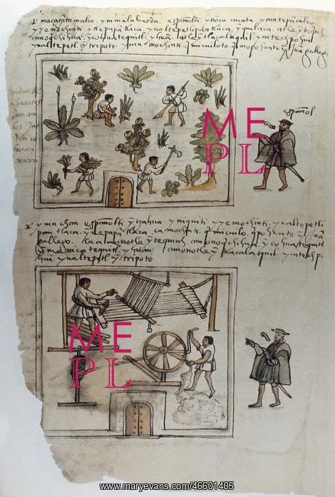  : Codex Osuna (Codice Osuna). 16th c. Manuscrit