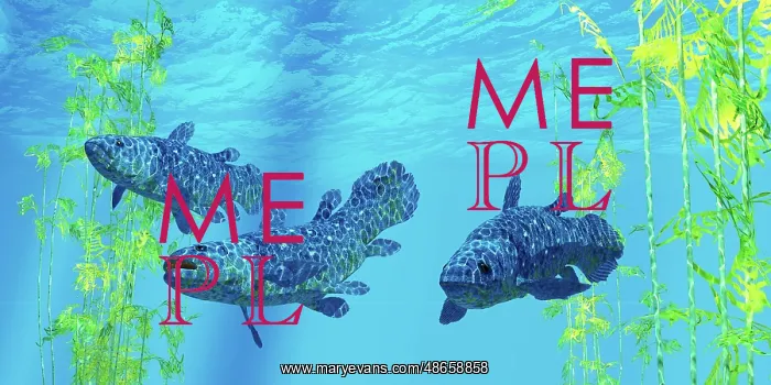: Coelacanth prehistoric fish, swimming by kelp : Coelacanth prehistoric fish, swimming by kelp
