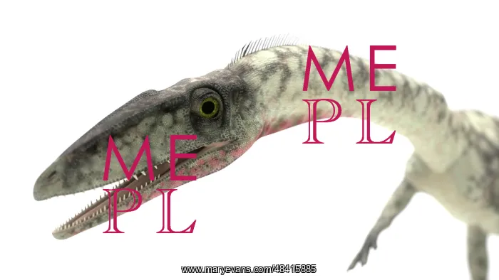 : Coelophysis close-up : Coelophysis close-up