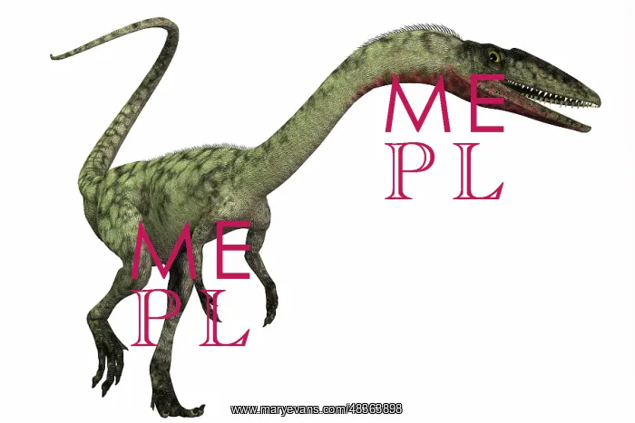 : Coelophysis dinosaur : Coelophysis dinosaur