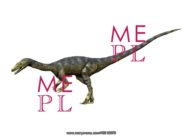  : Coelophysis dinosaur