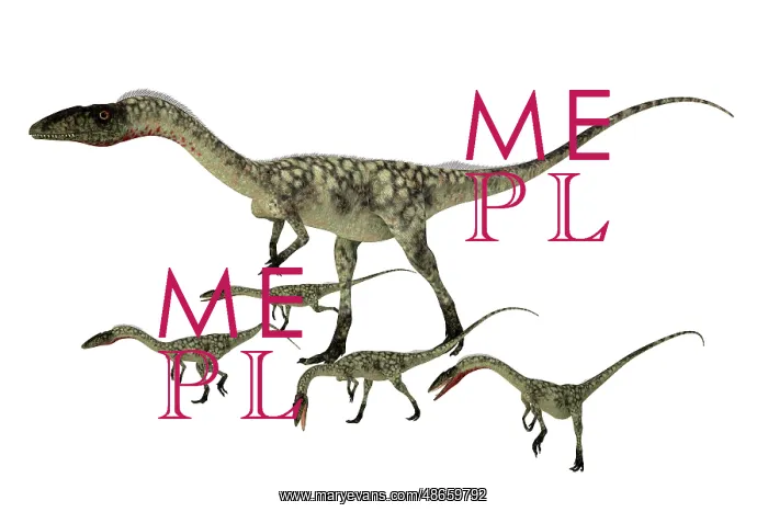 : Coelophysis dinosaur with offspring : Coelophysis dinosaur with offspring