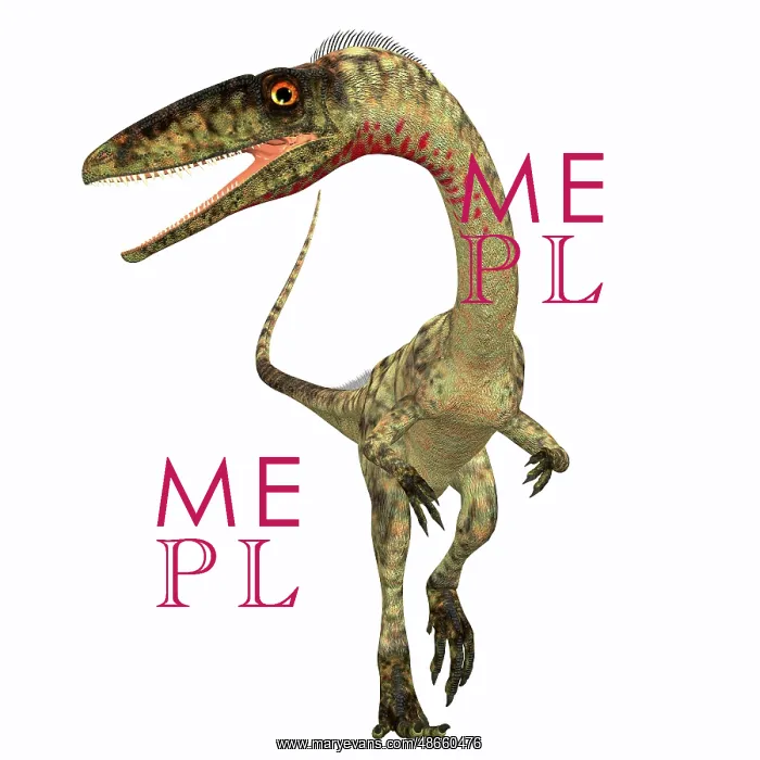 : Coelophysis dinosaur, front view : Coelophysis dinosaur, front view