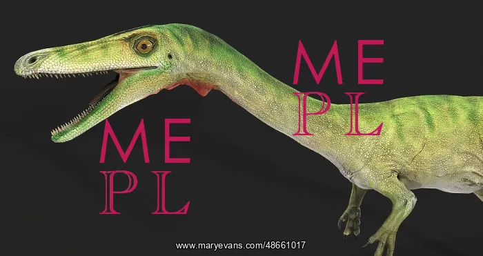 : Coelophysis dinosaur, side view on gray background