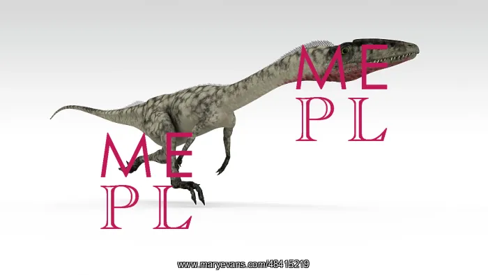 : Coelophysis dinosaur, white background : Coelophysis dinosaur, white background
