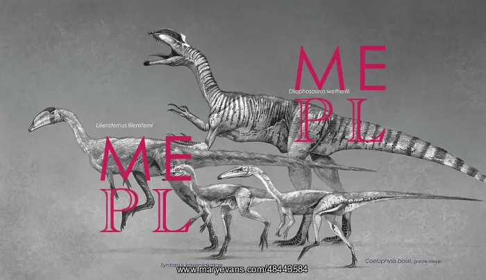 : Coelophysoid diversity from the Late Triassic to Early ? : Coelophysoid diversity from the Late Triassic to Early ?