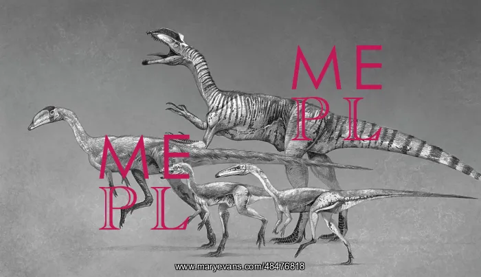 : Coelophysoid diversity from the Late Triassic to Early ? : Coelophysoid diversity from the Late Triassic to Early ?