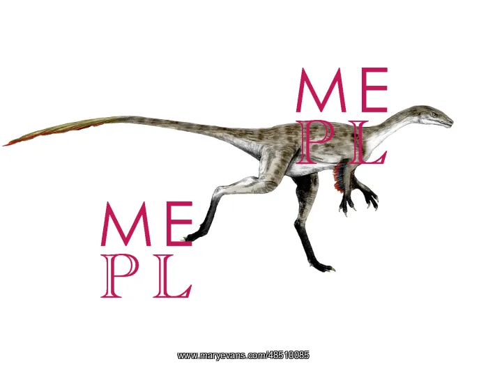  : Coelurus dinosaur