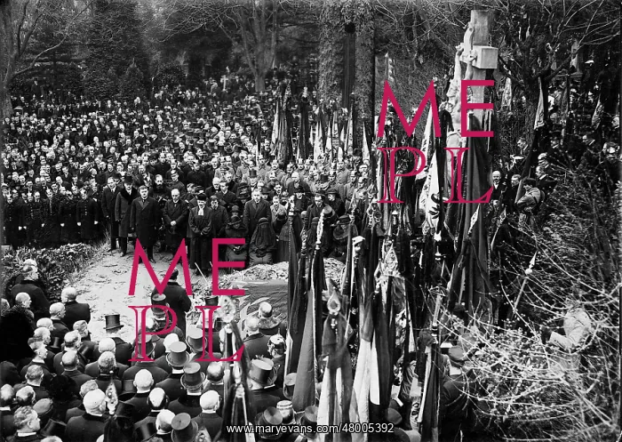 : The coffin bier and the surrounding crowd with flags : The coffin bier and the surrounding crowd with flags