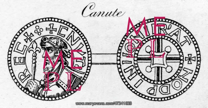  : COIN OF CANUTE